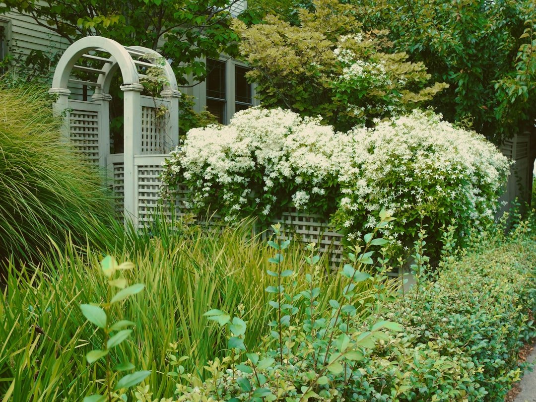 Bikin Taman di Dalam Rumah Ternyata Bisa Bantu Nurunin Suhu Ruangan Secara Drastis