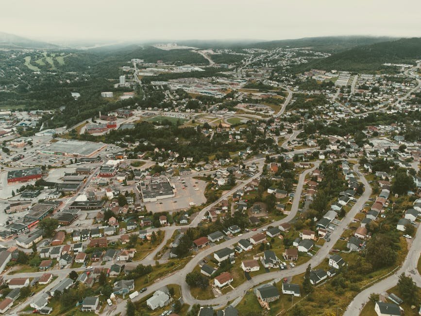 Cara Merawat Tanaman Hias di Dalam Ruangan agar Tetap Subur