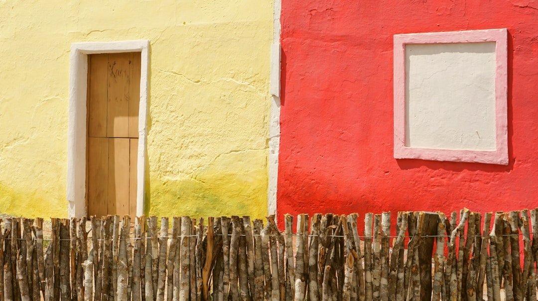 Psikologi Warna Cat Rumah: Panduan Memilih Warna yang Tepat